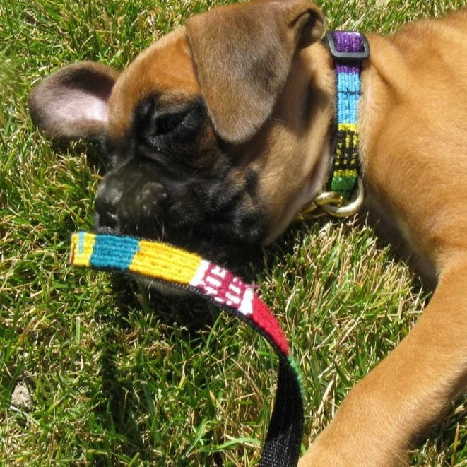 ATWCW At the Beach Bahamas - Mayan Artisan-Handmade Dog Collars